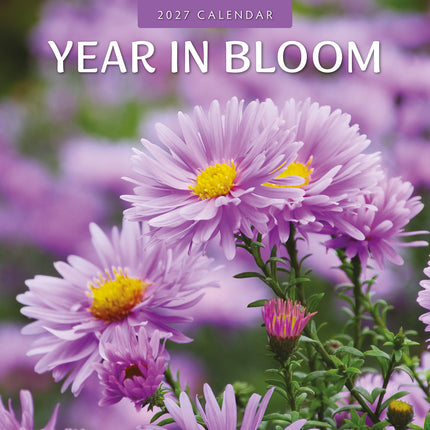 Year in Bloom 2027 square wall calendar - front cover
