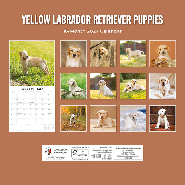 Yellow Labrador Retriever Puppies 2027 square wall calendar - back cover