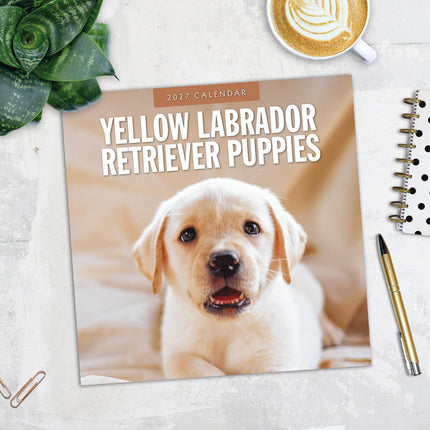 Yellow Labrador Retriever Puppies 2027 square wall calendar - image detail