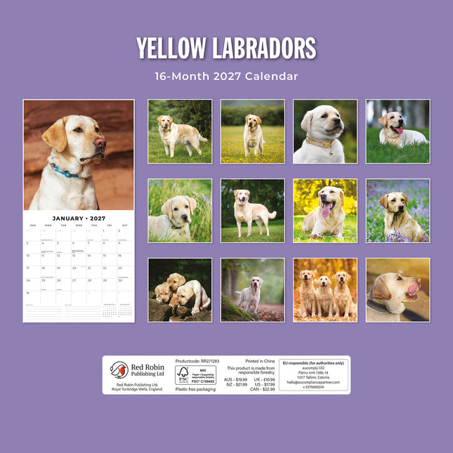 Yellow Labrador 2027 square wall calendar - back cover