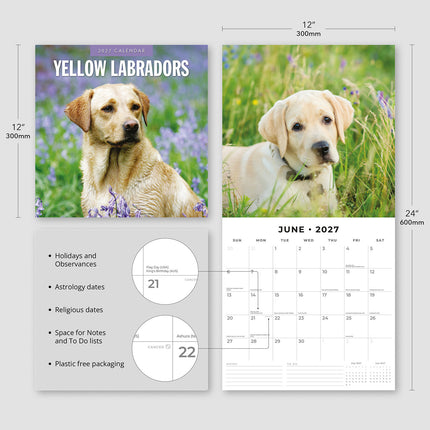 Yellow Labrador 2027 square wall calendar - product specifications
