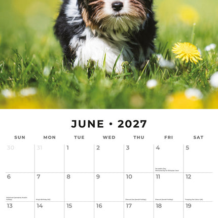 Yorkshire Terrier Puppies 2027 square wall calendar - monthly calendar spread