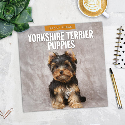 Yorkshire Terrier Puppies 2027 square wall calendar - image detail
