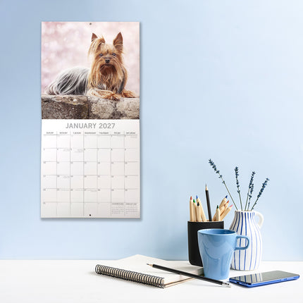 Yorkshire Terriers 2027 Premium Square Wall Calendar lifestyle image